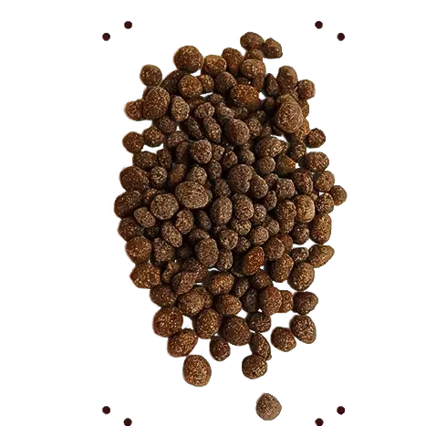 Casalindolci La Contessa Granella Grossa granella cioccolato